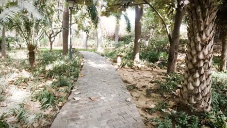 Hermosos-Jardines-Lodhi-Caminando-Bajo-El-Dosel-De-Los-árboles-En-Nueva-Delhi,-India