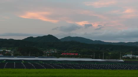 Malerischer-Blick-Auf-Die-Ginseng--Und-Reisfarm-Mit-Bewaldeten-Hügeln-Im-Hintergrund-Bei-Sonnenuntergang-In-Geumsan,-Chungcheong,-Südkorea