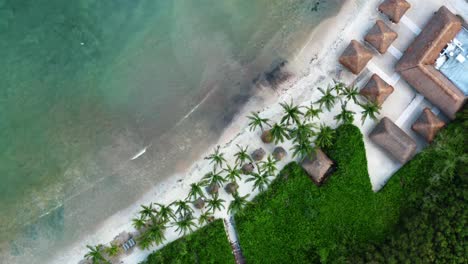 Drohnenblick-Aus-Der-Vogelperspektive-Auf-Einen-Wunderschönen-Tropischen-Urlaubsstrand-Mit-Kristallklarem-Blauem-Wasser,-Weißem-Sand,-Palmen-Und-Einem-Weg,-Der-Von-Einem-Resort-Zum-Strand-An-Der-Riviera-Maya,-Mexiko,-Führt