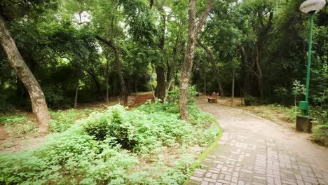 Walking-Along-the-Beautiful-Green-Foliage-at-Lodhi-Gardens,-New-Delhi,-India