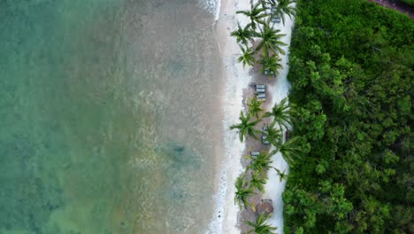 Aerial-bird's-eye-drone-view-of-a-beautiful-tropical-vacation-beach-with-crystal-clear-blue-water,-white-sand,-palm-trees,-and-a-path-leading-from-a-resort-to-the-beach-in-Riviera-Maya,-Mexico