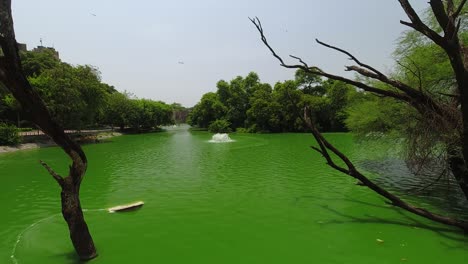 Lapso-De-Tiempo-De-Un-Hermoso-Lago-Verde-En-Los-Jardines-De-Lodhi-En-Nueva-Delhi,-India