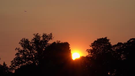 Sonnenuntergang-Hinter-Bäumen-Mit-Vorbeiziehender-Flugzeugsilhouette-In-Der-Natur