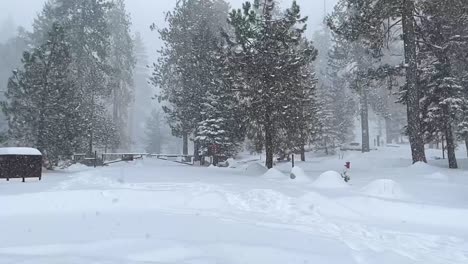 4K-Aufnahmen-Eines-Schneesturms-Im-Sequoia-Nationalpark