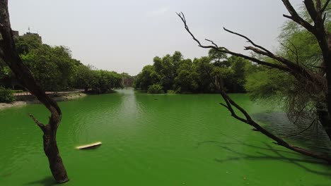 Lapso-De-Tiempo-De-Un-Lago-Verde-En-Los-Jardines-De-Lodhi-En-Nueva-Delhi,-India
