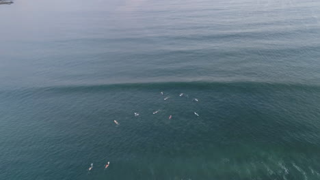 Top-down-aerial-as-surfers-wait-on-waves-in-water-panning-up-to-blue-ocean,-4K