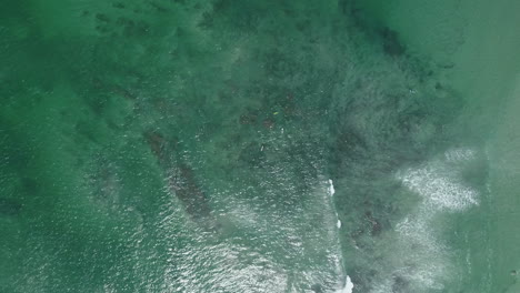 Descending-top-down-aerial-towards-surfers-waiting-for-waves-in-blue-water,-4K