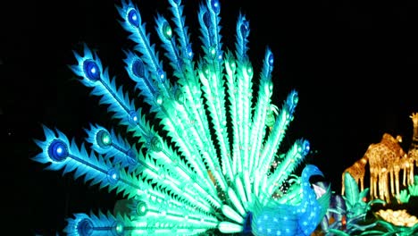 A-profile-angle-of-a-lit-animatronic-peacock-as-it-opens-its-feathers-revealing-beautiful-green-and-blue-light