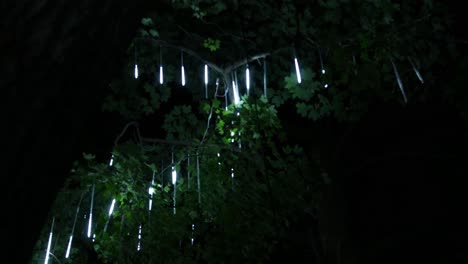 Icicle-lights-hang-from-the-top-of-a-tree-and-create-a-dripping-effect-as-the-camera-films-from-a-low-angle