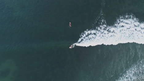 Top-down-aerial-following-surfer-towards-shore-as-they-ride-wave,-4K