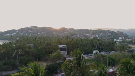 Sunrise-aerial-over-palm-trees-in-coastal-Mexican-town-looking-towards-hills,-4K