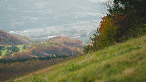 üppige-Wiesenhügel-Mit-Herbstlichen-Bäumen-Im-Hintergrund-Auf-Den-Zao-bergen-In-Japan