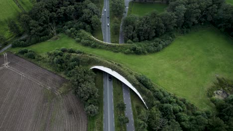 Arrow-shaped-wildlife-crossing-forming-a-safe-natural-corridor-bridge-for-animals-to-migrate-between-conservancy-areas-with-cars-passing-by