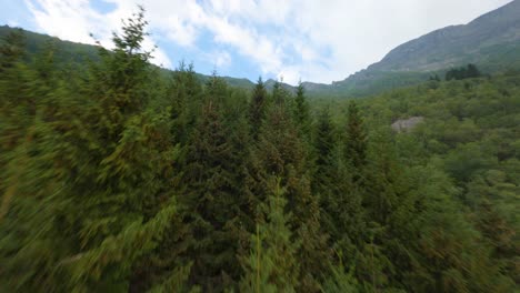 Vuelo-Dinámico-Fpv-Sobre-Frondosos-árboles-Verdes-En-Noruega-Durante-El-Día-Soleado-Y-Nublado