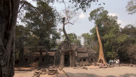 Pan-down-shot-reveal-tourists-walking-toward-abandoned-Ta-Prohm-jungle-temple-of-Cambodia