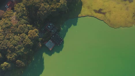 Aerial-top-down-view-of-a-green-lake,-Parque-Barigui,-Curitiba,-Paraná,-Brazil