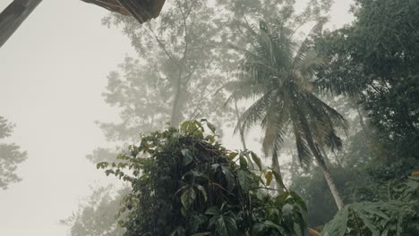 Starker-Regen-Fällt-Auf-Tropische-Bäume-Mit-Nebeligem-Himmel-In-Costa-Rica