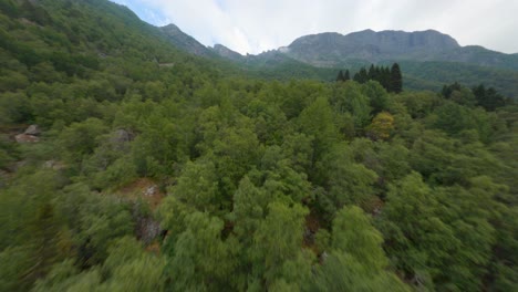 Majestic-green-vibrant-forest-with-tall-mountain-range-in-background,-FPV-drone-fly-over-view