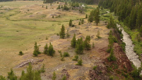 Aerial-View-Flying-In-Mountain-Valley-With-River-Stream,-Pine-Trees-and-Field