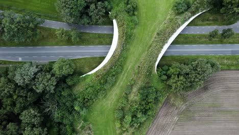 Top-down-aerial-reveal-of-a-large-wildlife-crossing-forming-a-safe-natural-corridor-bridge-for-animals-to-migrate-between-conservancy-areas