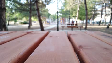 Blurred-Playground-Over-a-Picnic-Table
