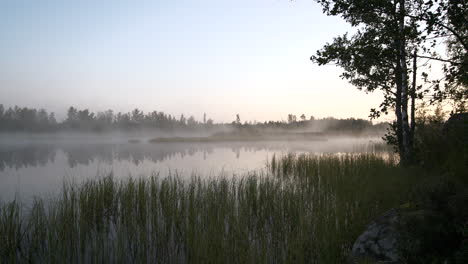 Amazing-landscape-with-fog-on-misty-lake-at-sunrise