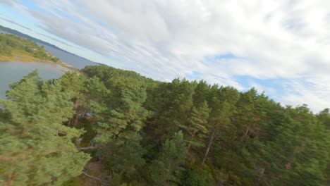 Luftflug-über-Grüne-Bäume-Im-Wald-Mit-Fjord-Und-Berühmter-Bombla-Brücke-Im-Hintergrund---Norwegen-Reise-In-Europa
