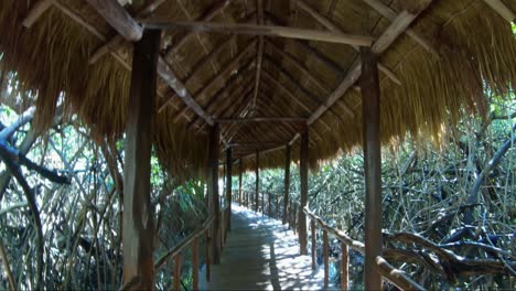 Tilting-down-shot-revealing-a-beautiful-tropical-thatch-covered-walkway-through-a-forest-of-mangroves-inside-of-a-vacation-resort-in-Riviera-Maya,-Mexico-near-Playa-del-Carmen-and-Tulum-on-a-sunny-day