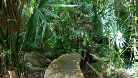 Walking-down-a-beautiful-stone-staircase-inside-of-a-tropical-rainforest-leading-to-a-large-natural-cavernous-cenote-inside-of-a-ecological-resort-with-cenote's-and-wildlife-in-Riviera-Maya,-Mexico