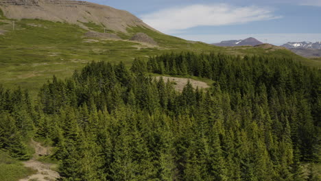 Beautiful-Nature-Forest-Landscape-on-Iceland-Mountain-in-Summertime,-Aerial