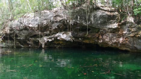 Tilt-up-from-tropical-turquoise-clear-water-to-reveal-a-cenote-with-a-small-rocky-cave-in-Riviera-Maya,-Mexico-near-Tulum-and-Cancun-on-vacation
