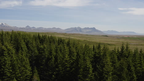Tracking-shot-over-Hofsstadaskogur-in-Iceland