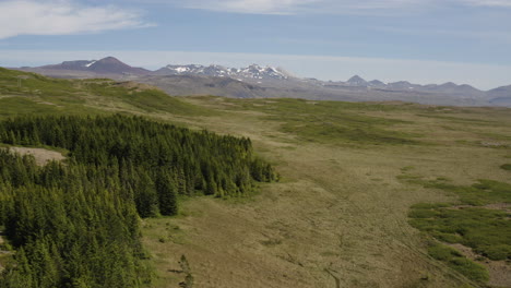 Aerial-pull-out-shot-over-Hofsstadaskogur-an-area-of-Iceland-dedicated-to-the-conservation-of-trees