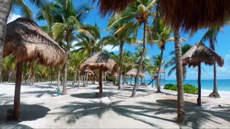 Gorgeous-tilting-up-shot-of-a-tropical-empty-resort-beach-with-white-sand,-palm-trees,-and-turquoise-water-on-the-beautiful-Playa-del-Carmen-in-Riviera-Maya,-Mexico-near-Cancun-
