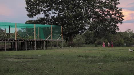 Kinder-Spielen-An-Einem-Gewächshaus-Im-Peruanischen-Dschungel