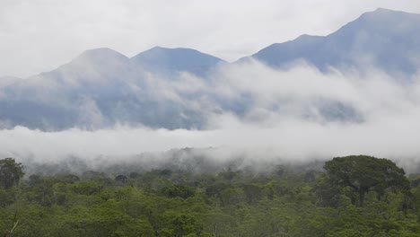 Zeitraffer-Des-Bewölkten-Waldes-In-Peru