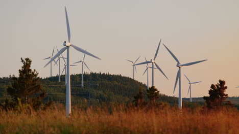 Wind-turbines-farm-producing-green-electricity-on-hill-at-sunset