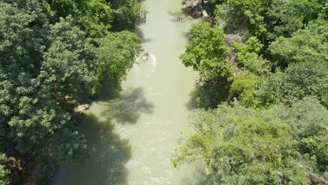 Drone-aerial-footage-of-flowing-rainforest-river-lined-with-green-lush-trees
