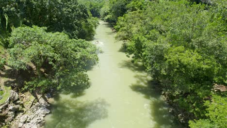 Drone-aerial-footage-of-flowing-rainforest-river-lined-with-lush-green-trees-and-foliage