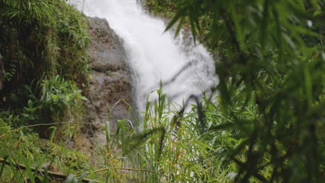 Blick-Auf-Bergwasserfälle-Hinter-Grünem-Bambuslaub-Bei-Primera-Cascada-De-La-Planta-In-Tanamá,-Arecibo,-Puerto-Rico