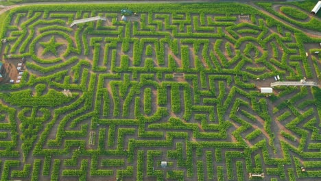 Corn-maze