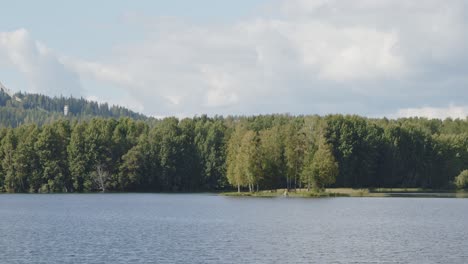 forest-next-to-lake-and-island-landscape-in-Jyväskylä,-Finland