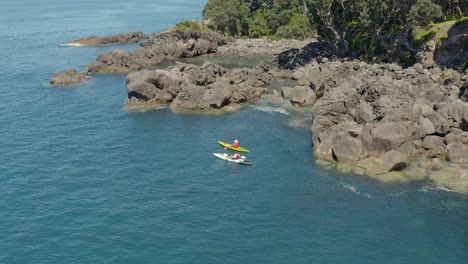 Kayakers-near-rocky-rugged-shore-with-seal-swimming-next-to-them,-aerial,-Whale-Island