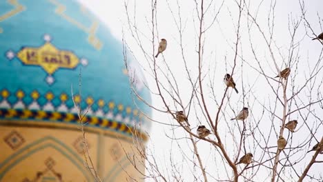 Birds-sitting-near-the-dome-of-Blue-decorated-Mosque-with-background-blur