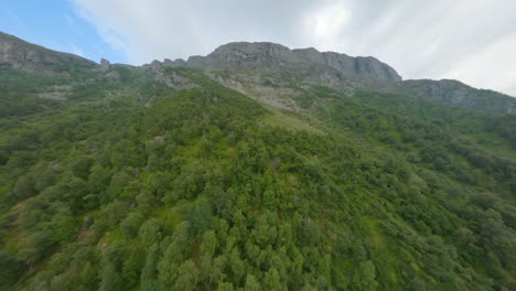 Aerial-flight-over-green-fir-trees-growing-on-Norwegian-mountains-during-summer