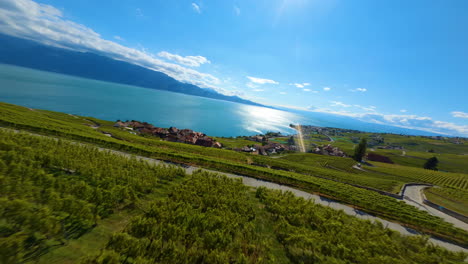 Vast-Vineyards-In-Lavaux-In-The-Charming-Village-of-Epesses-Switzerland---Aerial-shot