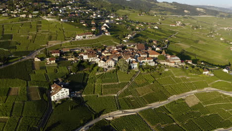 Vista-Aérea-Del-Pueblo-De-Grandvaux-Y-Viñedos-Verdes-De-Lavaux,-Vaud,-Suiza