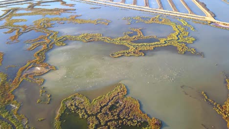 Aerial-View-Of-Barbate-Marshes-Natural-Park-On-A-Sunny-Summer-day-In-Cadiz,-Spain