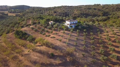 Spanish-Cortijo-On-The-Hilltop-With-Growing-Tree-Crops-In-Malaga,-Spain