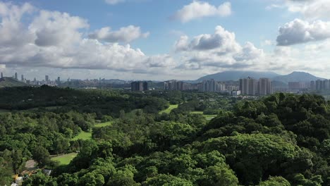 Bosque-De-Campo-En-Hong-Kong-Con-La-Ciudad-De-Sheung-Shui-En-Segundo-Plano